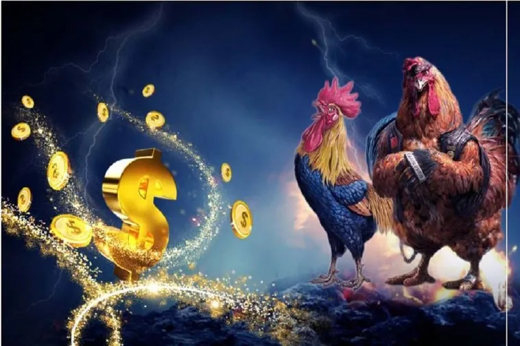 Đá Gà 8KBet Đấu Trường Đỉnh Cao Cho Kê Thủ Chuyên Nghiệp 1 Đá Gà 8KBet Đấu Trường Đỉnh Cao Cho Kê Thủ Chuyên Nghiệp